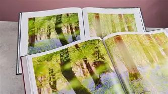 The Real Truth: Papier Photo Book or Thermal Master P3 Thermal Camera?